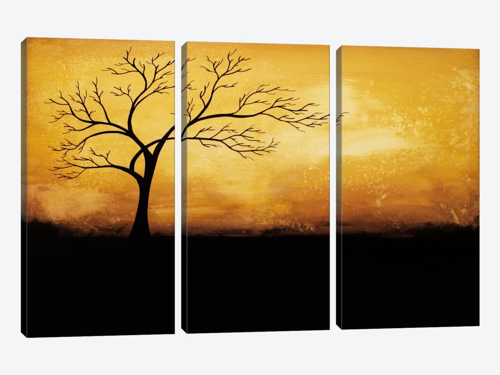 Morning Glory by Heather Offord 3-piece Canvas Artwork