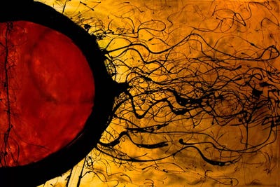 She Came This Way Before by Heather Offord multi panel art