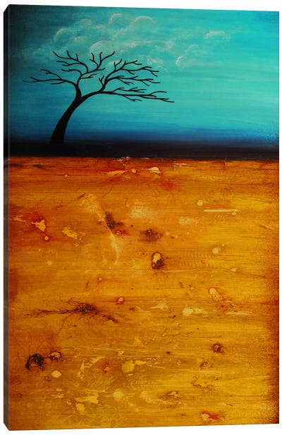 Soul Searching Canvas Art Print - Heather Offord