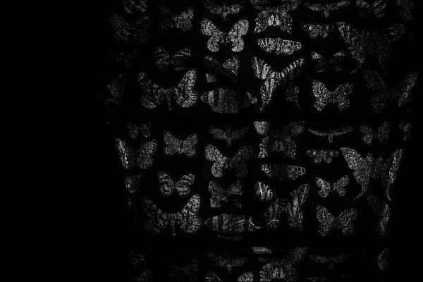 Heather Offord: Transcendance II by Heather Offord