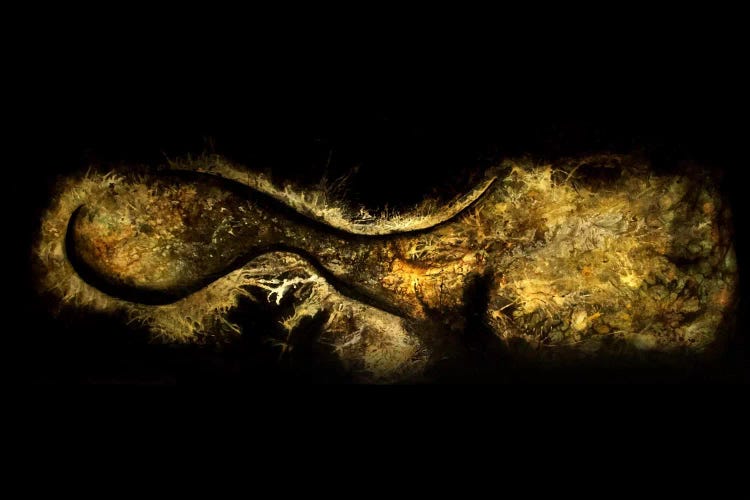 Born Of Water And Spirit by Heather Offord wall art