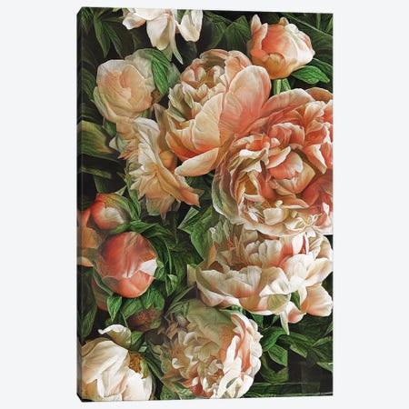 Botanical Passion Canvas Print #HOD528} by Heather Offord Art Print