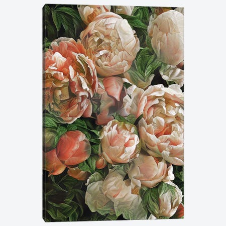 Botanical Scents Canvas Print #HOD529} by Heather Offord Art Print