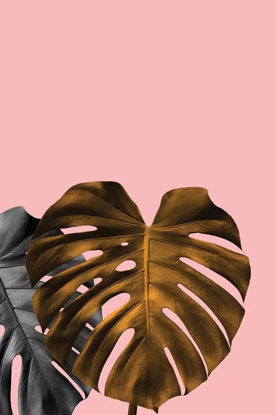 Black & Pink: Gold Leaf by Honeymoon Hotel