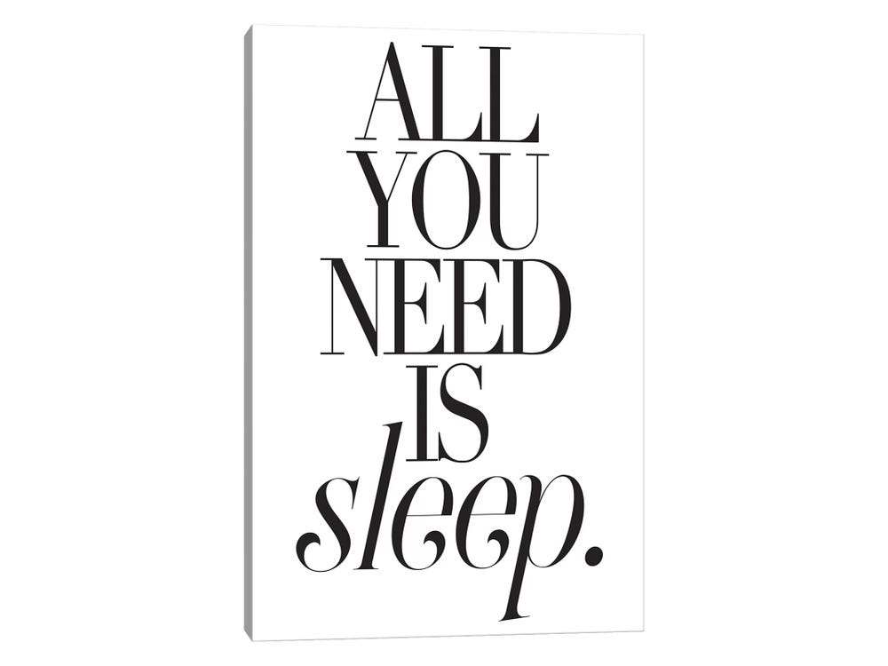All You Need Is Sleep Canvas Artwork by Honeymoon Hotel