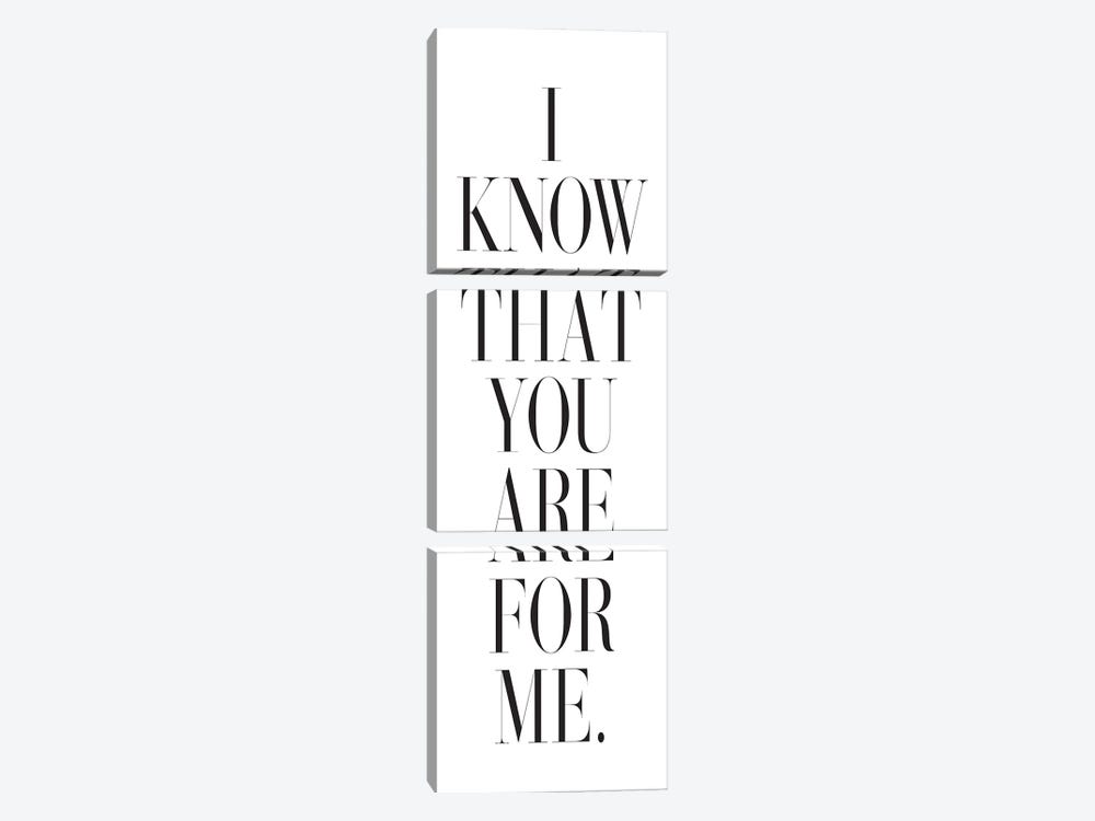 I Know That You Are For Me by Honeymoon Hotel 3-piece Canvas Art