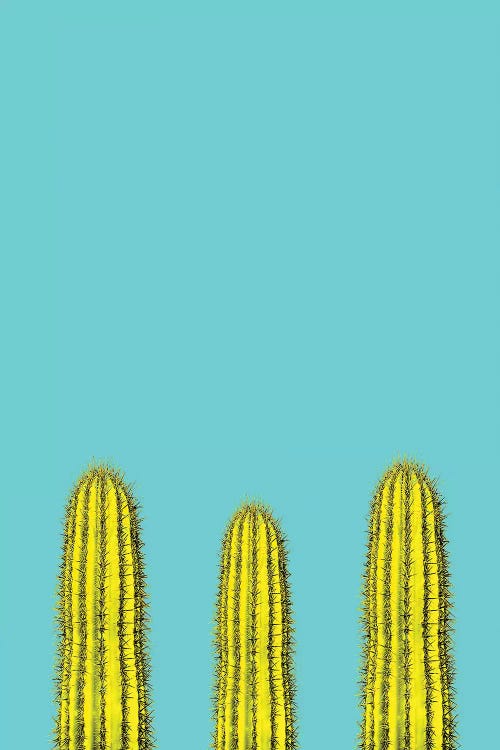 Aqua Cacti