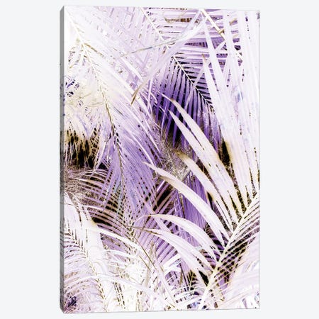 Jungle (Bleached) Canvas Print #HON143} by Honeymoon Hotel Art Print