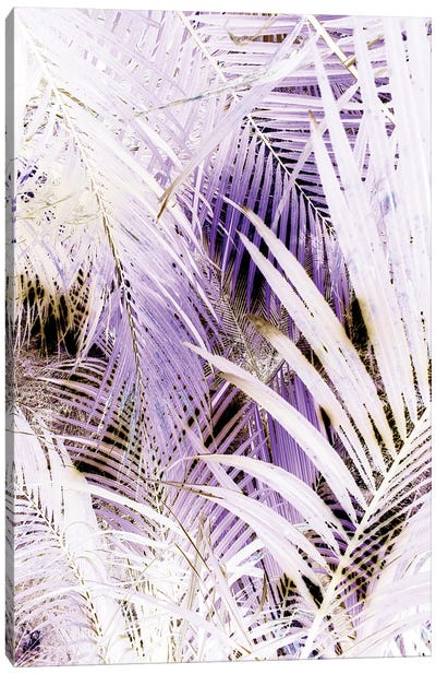 Jungle (Bleached) Canvas Art Print - Greenery