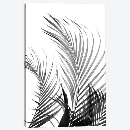 Palm Fronds (Black & White) Canvas Print #HON194} by Honeymoon Hotel Canvas Art Print