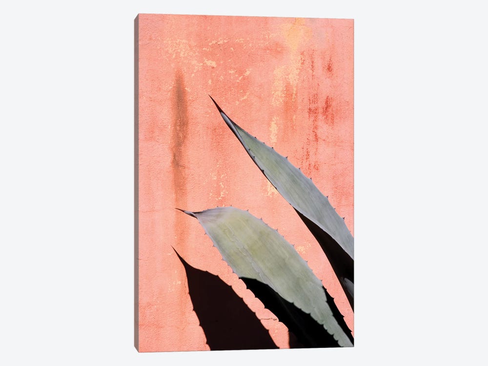 Peach Cactus 1-piece Canvas Art Print
