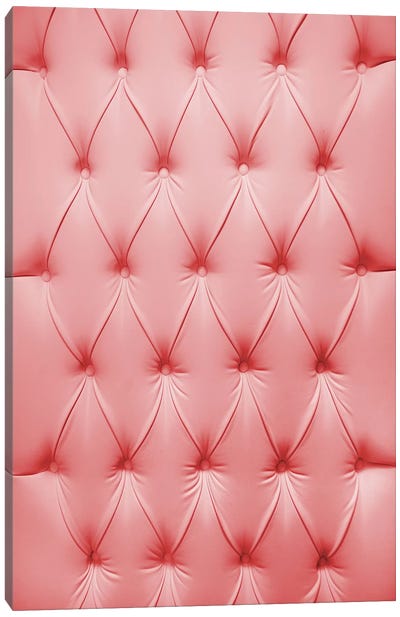 Pink Padded Cell Canvas Art Print - Pantone Living Coral 2019