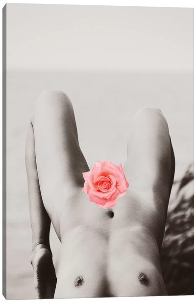 Rose Tinted Canvas Art Print - Erotic Art