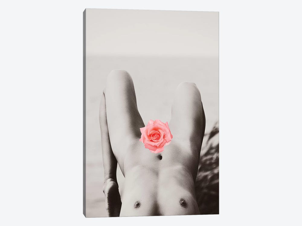Rose Tinted by Honeymoon Hotel 1-piece Canvas Print