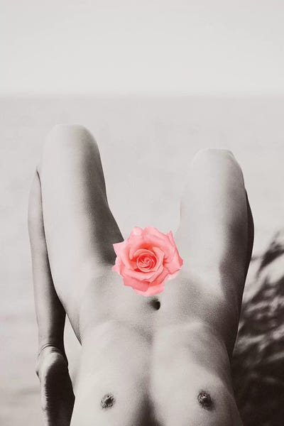 Color Pop Photography: Rose Tinted by Honeymoon Hotel