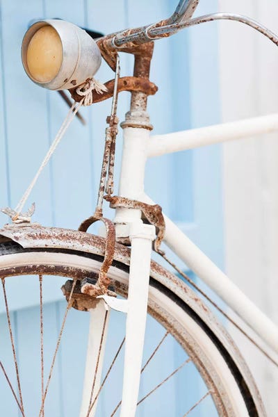 Cottagecore Goes Coastal: Rusty Bicycle by Honeymoon Hotel