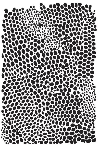 Honeymoon Hotel: Snakeskin by Honeymoon Hotel