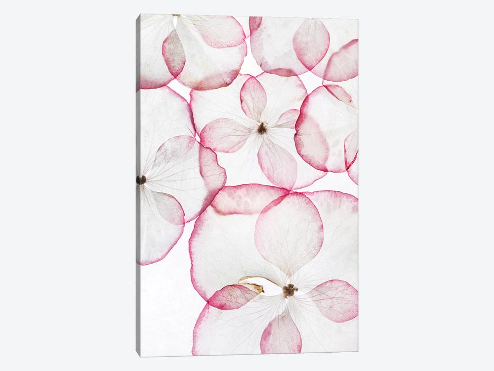 The Petals by Honeymoon Hotel 1-piece Canvas Art Print