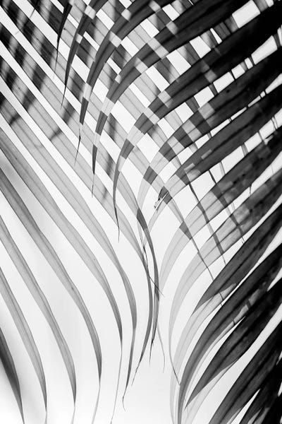 Tropical Curtain by Honeymoon Hotel canvas print