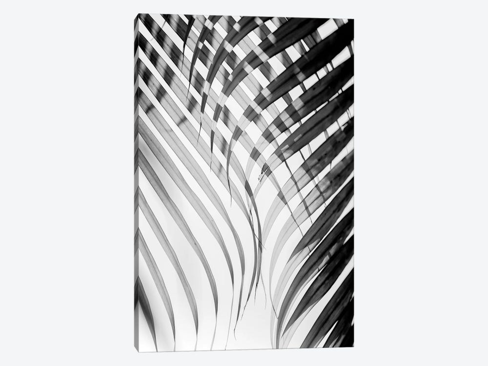 Tropical Curtain by Honeymoon Hotel 1-piece Canvas Print