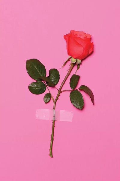 Honeymoon Hotel: Wallflower by Honeymoon Hotel