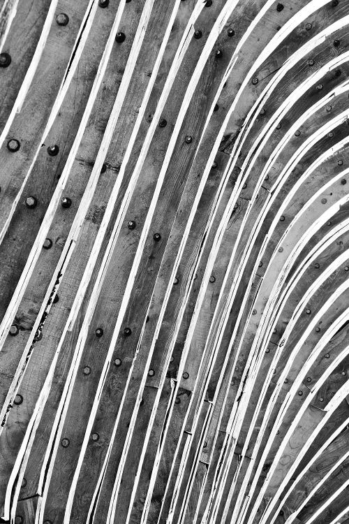 Wood Waves by Honeymoon Hotel wall art