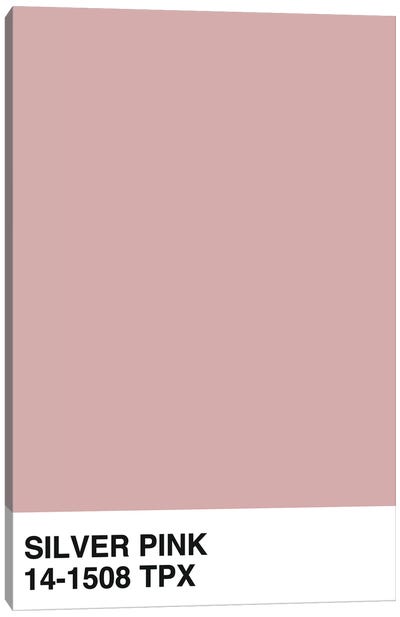 Silver Pink 14-1508 TPX Canvas Art Print - Martini Olive