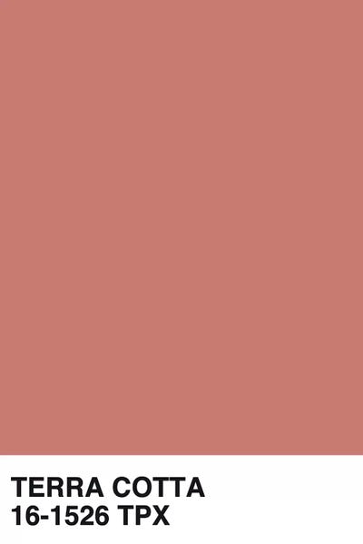 Martini Olive: Terra Cotta 16-1526 TPX by Honeymoon Hotel