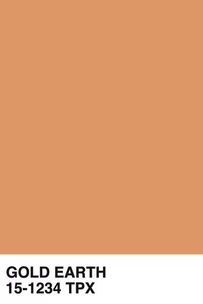 Color Palettes: Gold Earth 15-1234 TPX by Honeymoon Hotel