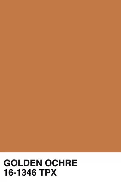 Sargrasso Sea, Quetzal Green & Russet Orange: Golden Ochre 16-1346 TPX by Honeymoon Hotel
