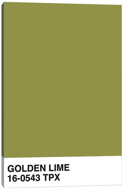 Golden Lime 16-0543 TPX Canvas Art Print - Celery