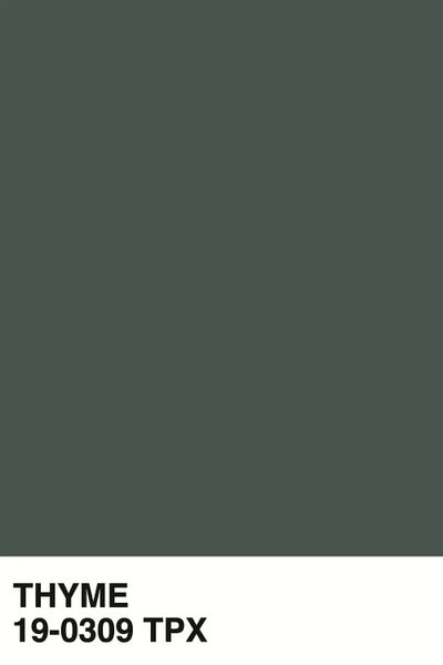 Martini Olive: Thyme 19-0309 TPX by Honeymoon Hotel