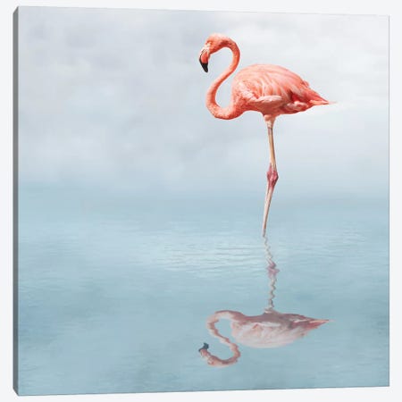 Feathered Pond Canvas Print #HON295} by Honeymoon Hotel Canvas Art