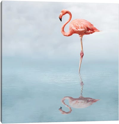Feathered Pond Canvas Art Print - Honeymoon Hotel