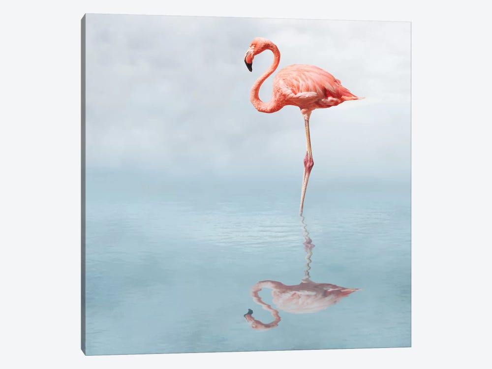 Feathered Pond by Honeymoon Hotel 1-piece Art Print