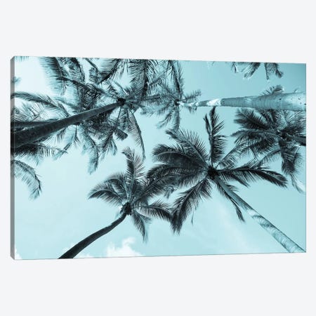 Pastel Palm Canvas Print #HON310} by Honeymoon Hotel Canvas Wall Art