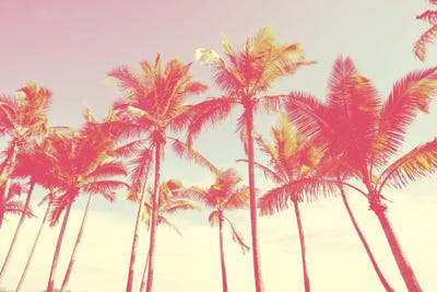 Tropical Skies by Honeymoon Hotel canvas print