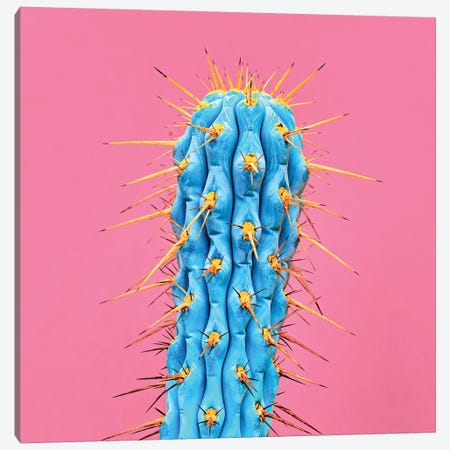 Ultraviot Cactus Canvas Print #HON319} by Honeymoon Hotel Canvas Artwork