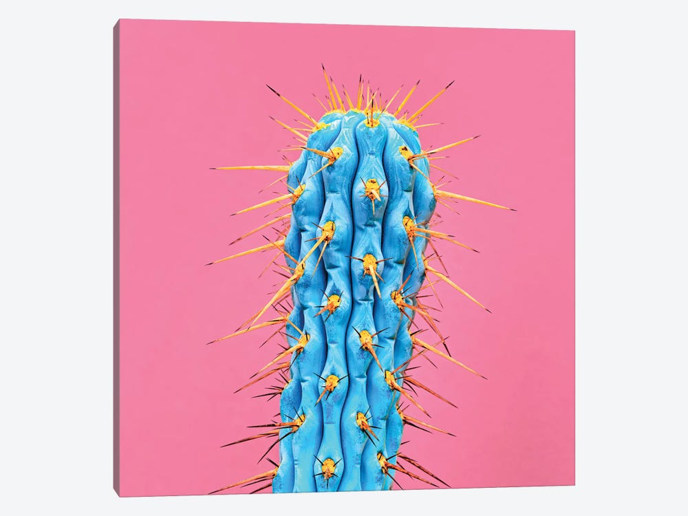 Ultraviot Cactus by Honeymoon Hotel 1-piece Canvas Art