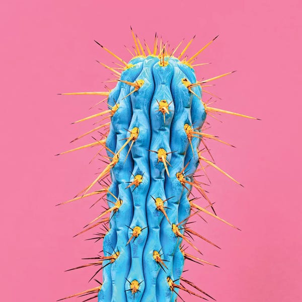 Cacti: Ultraviot Cactus by Honeymoon Hotel