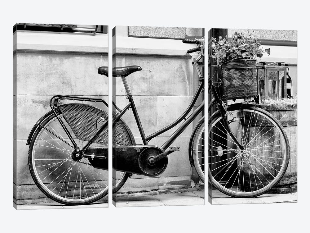 Rode My Bicycle by Honeymoon Hotel 3-piece Art Print