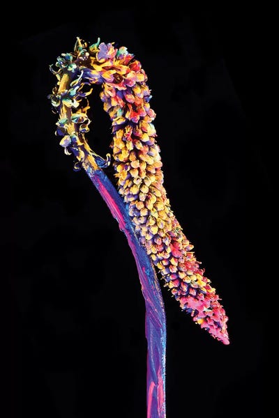 Neon III by Honeymoon Hotel acrylic art print