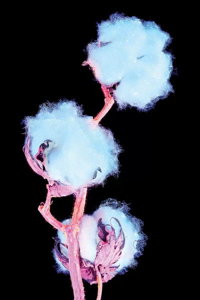 Neon IV by Honeymoon Hotel acrylic art print