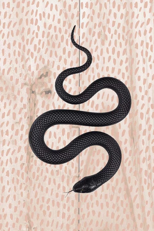 Slither by Honeymoon Hotel wall art