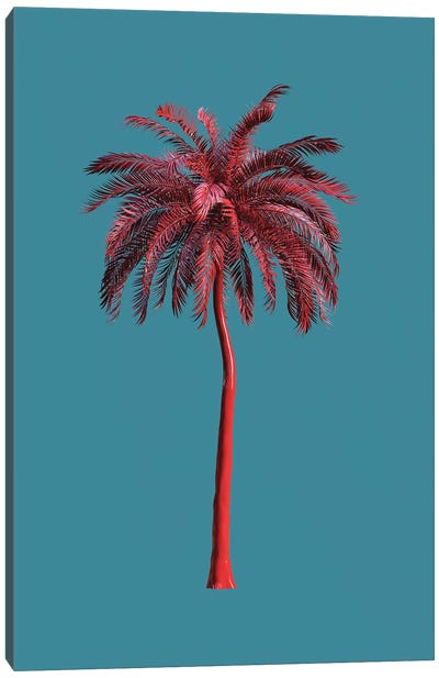 Tall Trees In Green Canvas Art Print - Tropics to the Max