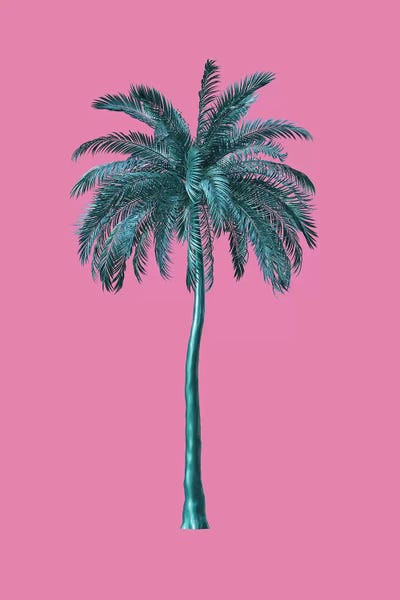 Tall Trees In Pink by Honeymoon Hotel canvas print