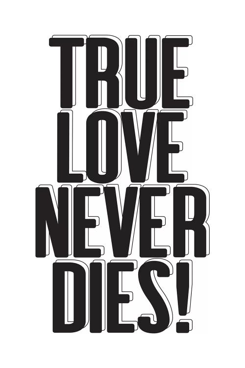True Love by Honeymoon Hotel wall art