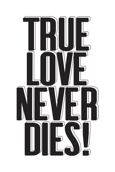 Romantic Bedroom (Love): True Love by Honeymoon Hotel