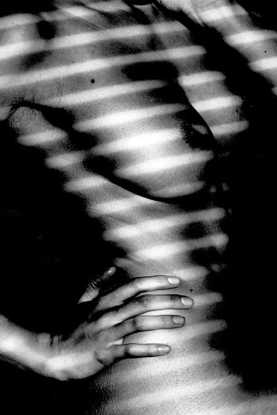 Shadows by Honeymoon Hotel framed canvas print