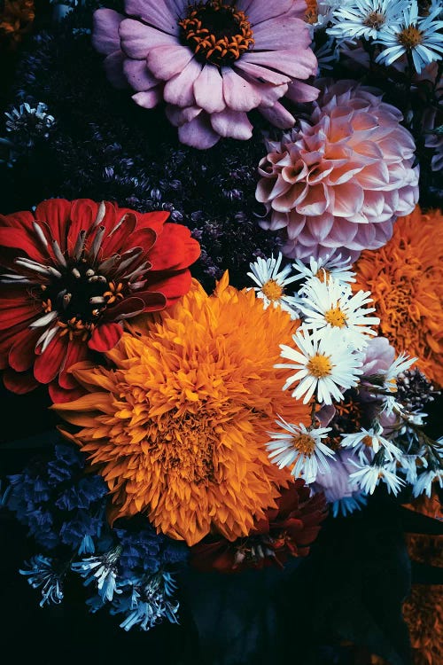 Dark Florals by Honeymoon Hotel canvas print